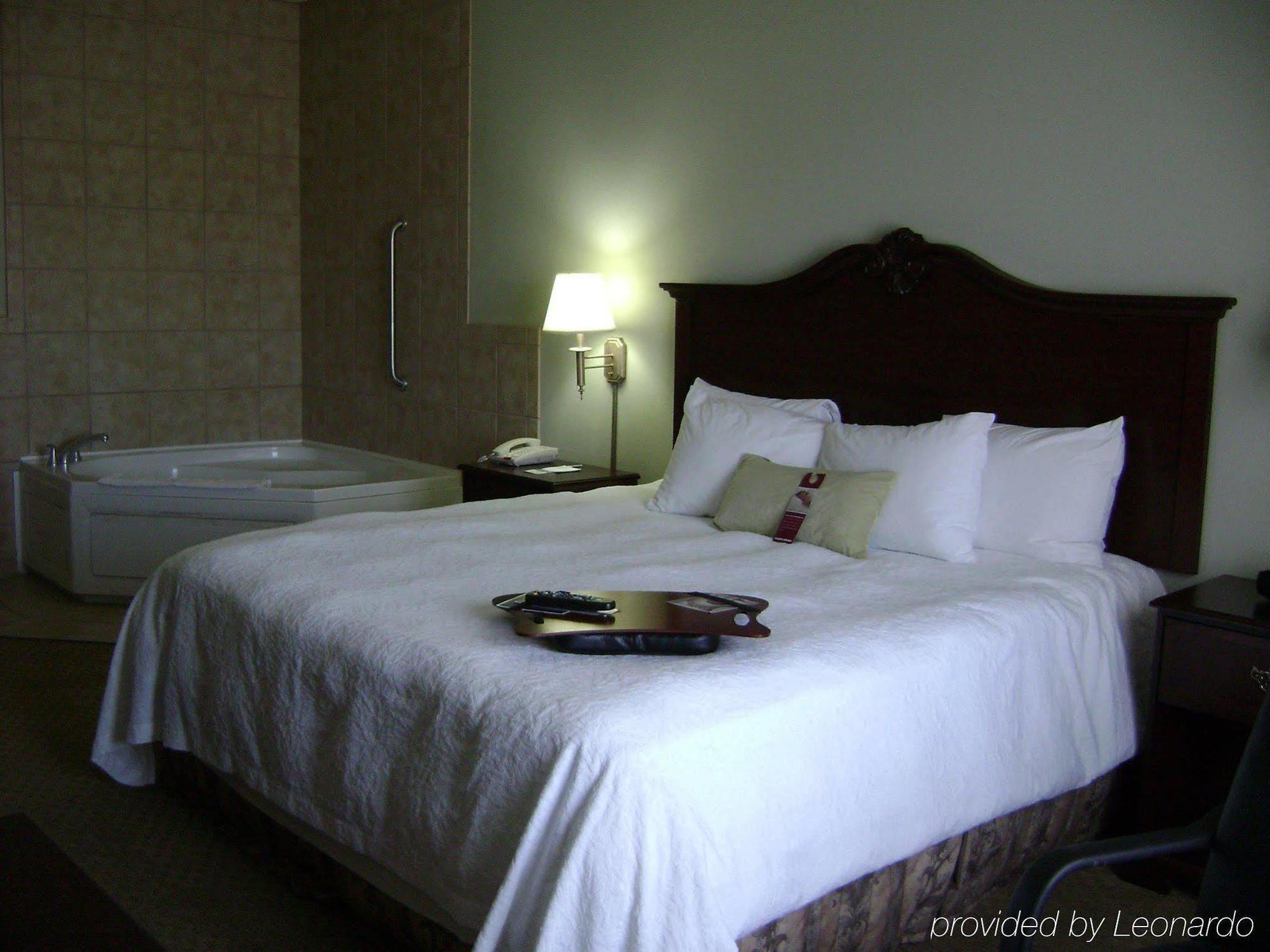 Hampton Inn Fort Stockton Værelse billede