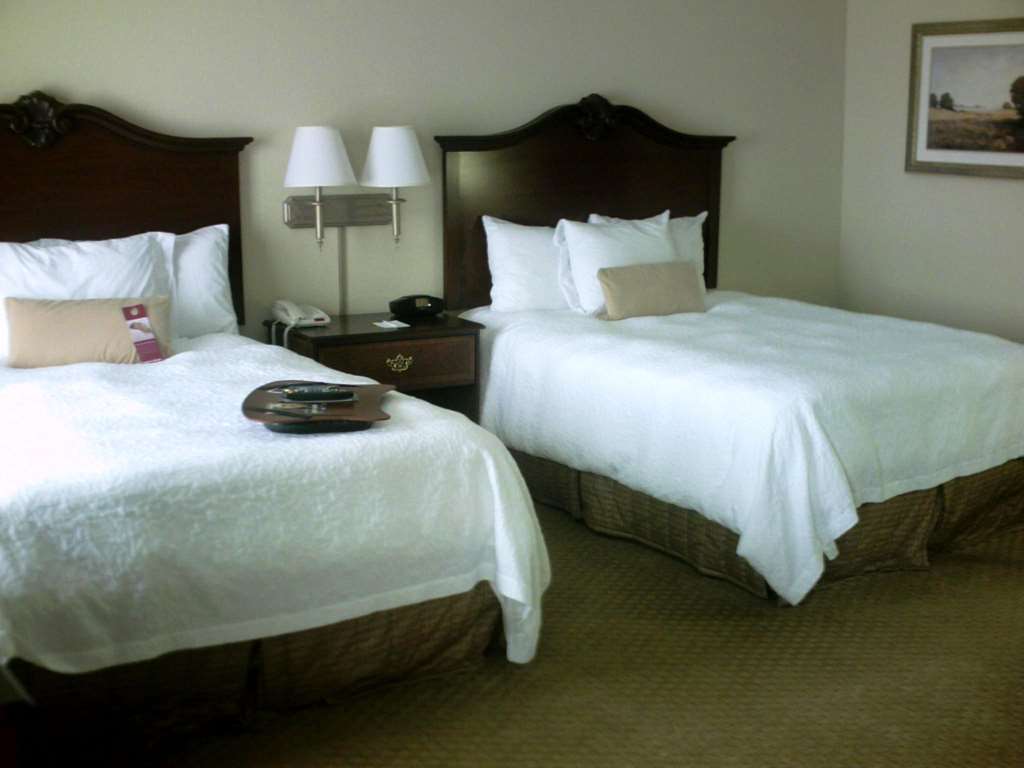Hampton Inn Fort Stockton Værelse billede